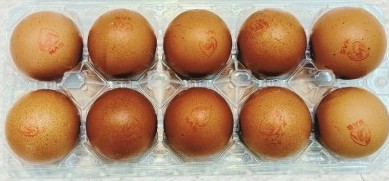 Crop telor omega-3